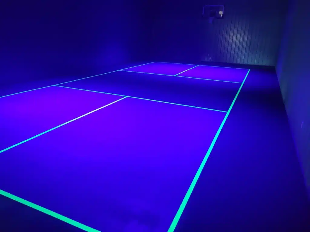Lockhaven Airbnb Glow In The Dark Pickleball Court